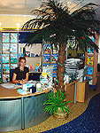 Palme in Reisebro