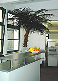 Palme in Cross-Media Agentur