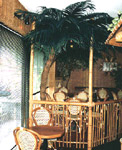 Palme in Bistro