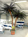 Palme in Bootshalle